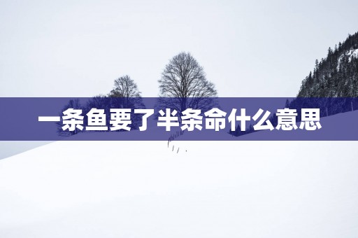 一条鱼要了半条命什么意思