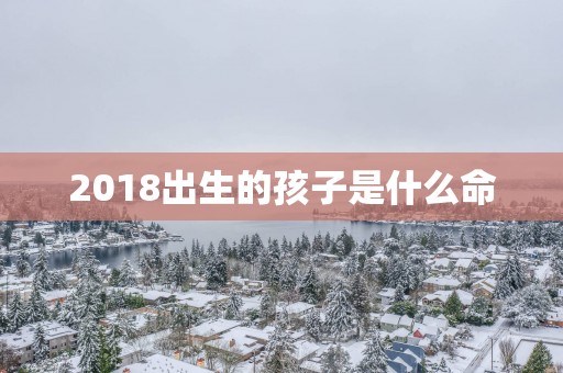 2018出生的孩子是什么命