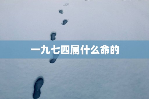 一九七四属什么命的