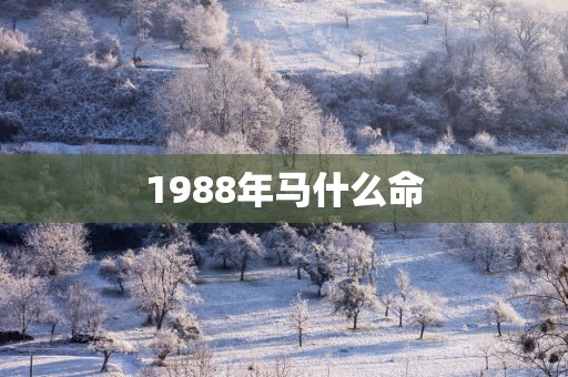 1988年马什么命