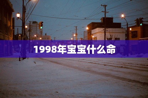 1998年宝宝什么命