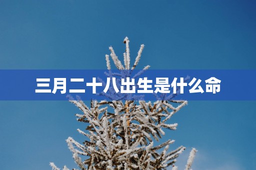 三月二十八出生是什么命