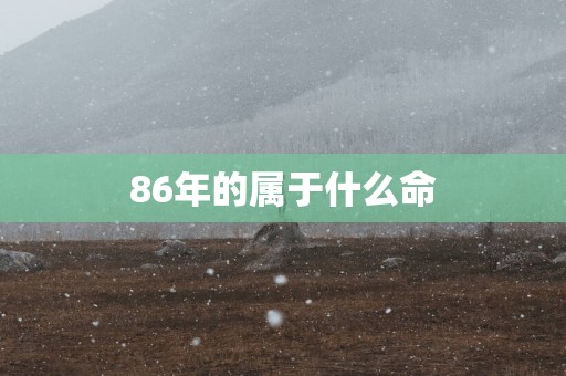 86年的属于什么命