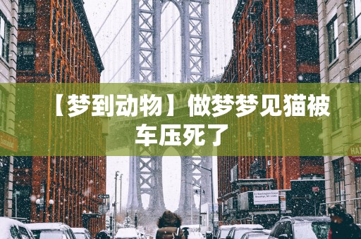 【梦到动物】做梦梦见猫被车压死了