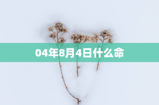 04年8月4日什么命
