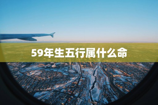 59年生五行属什么命