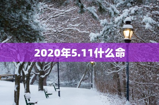 2025年5.11什么命