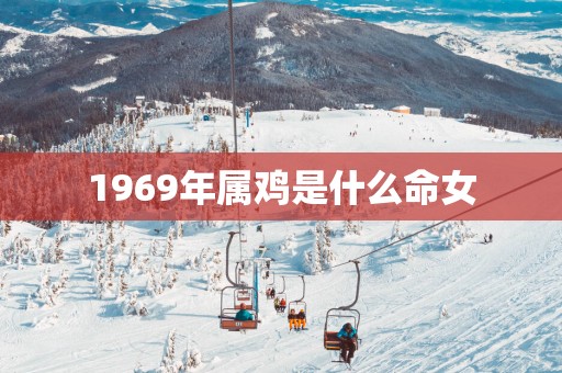 1969年属鸡是什么命女