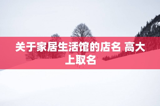 关于家居生活馆的店名 高大上取名