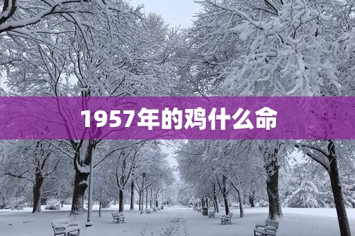 1957年的鸡什么命