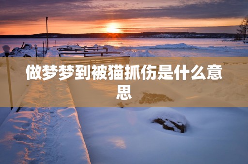 做梦梦到被猫抓伤是什么意思