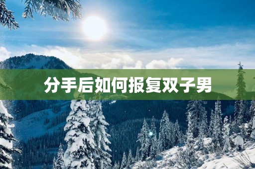 分手后如何报复双子男