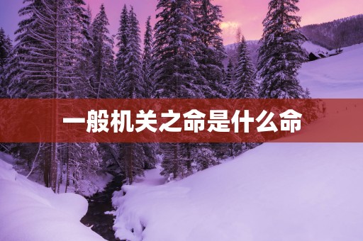 一般机关之命是什么命