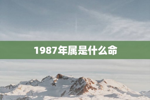 1987年属是什么命