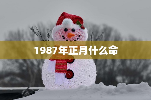 1987年正月什么命