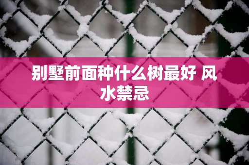 别墅前面种什么树最好 风水禁忌
