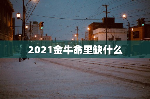 2025金牛命里缺什么
