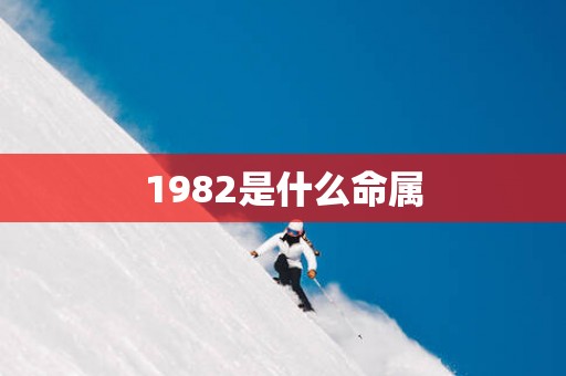 1982是什么命属