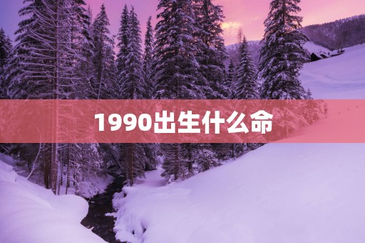 1990出生什么命