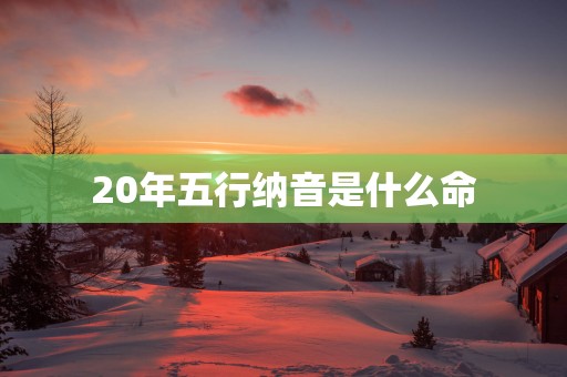 20年五行纳音是什么命