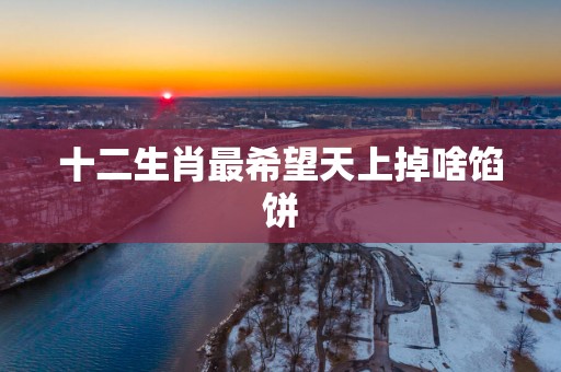 十二生肖最希望天上掉啥馅饼