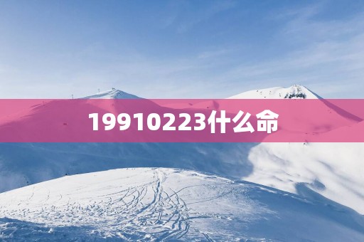 19910223什么命