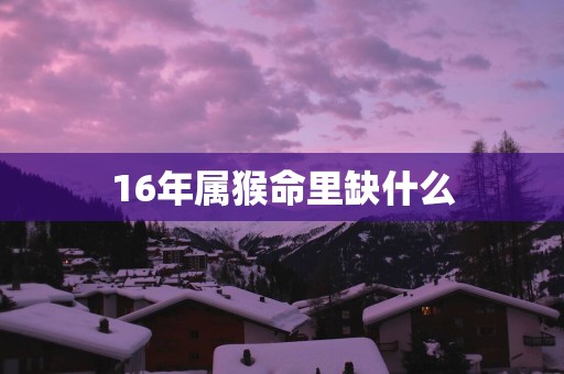16年属猴命里缺什么