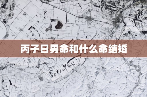 丙子日男命和什么命结婚