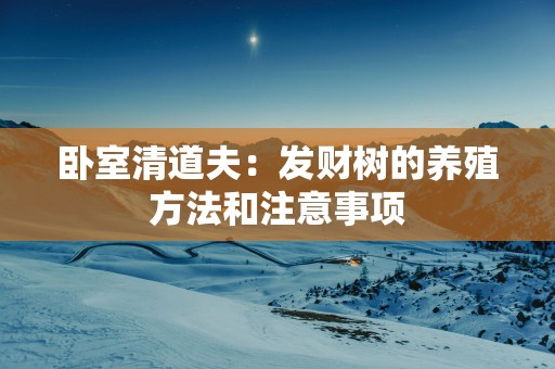 卧室清道夫：发财树的养殖方法和注意事项
