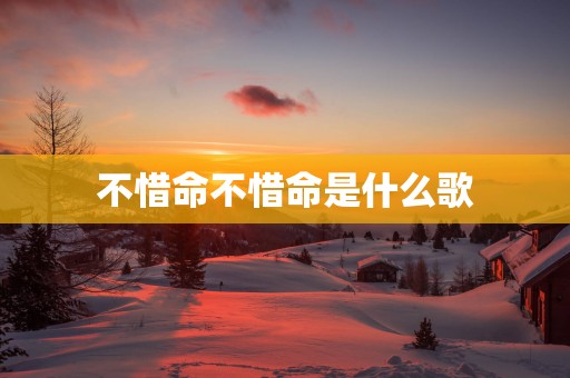 不惜命不惜命是什么歌