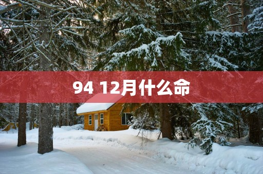 94 12月什么命