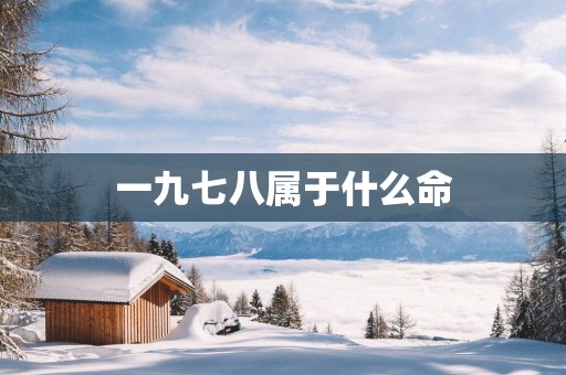 一九七八属于什么命