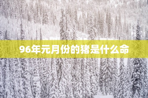96年元月份的猪是什么命