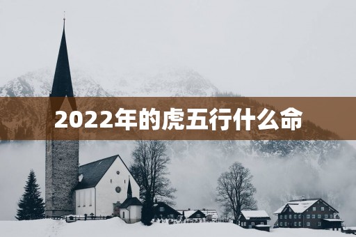 2025年的虎五行什么命