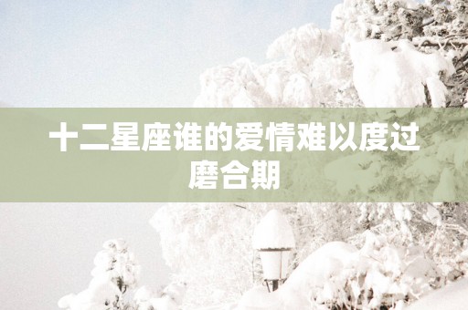 十二星座谁的爱情难以度过磨合期