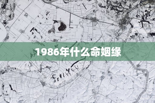 1986年什么命姻缘