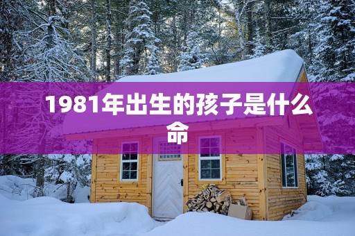 1981年出生的孩子是什么命