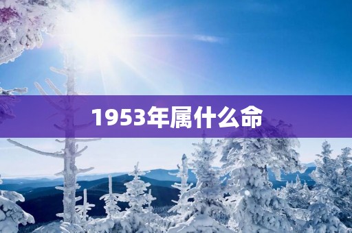 1953年属什么命