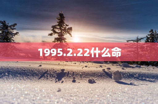 1995.2.22什么命