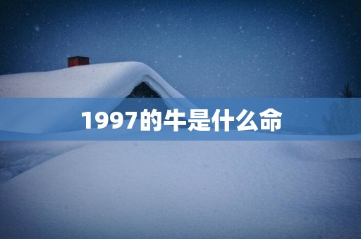 1997的牛是什么命