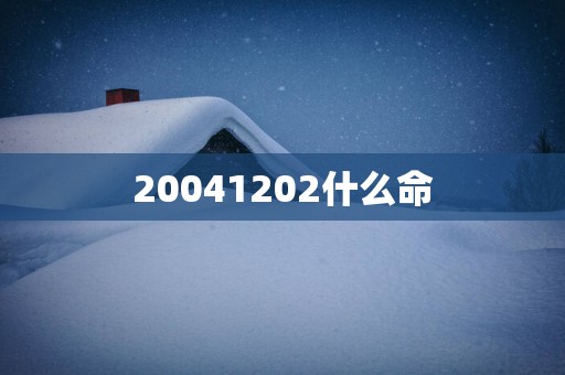 20041202什么命