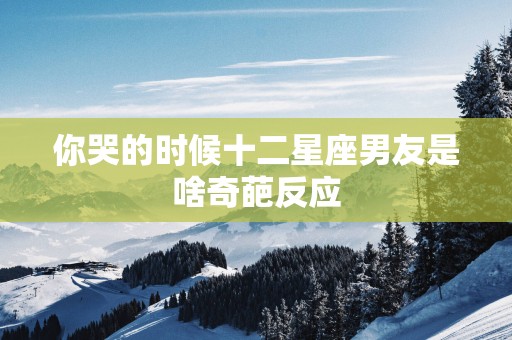你哭的时候十二星座男友是啥奇葩反应
