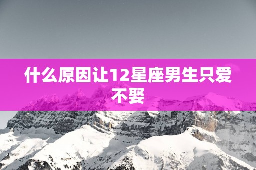 什么原因让12星座男生只爱不娶
