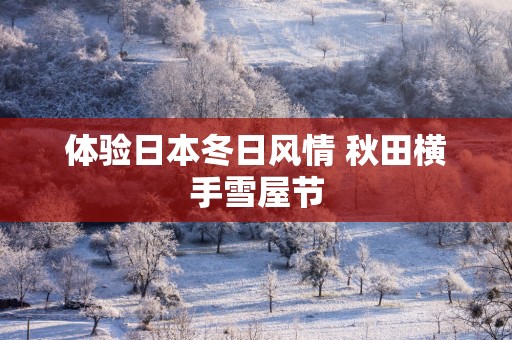 体验日本冬日风情 秋田横手雪屋节