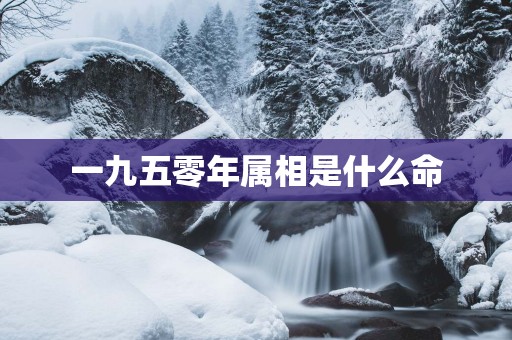 一九五零年属相是什么命