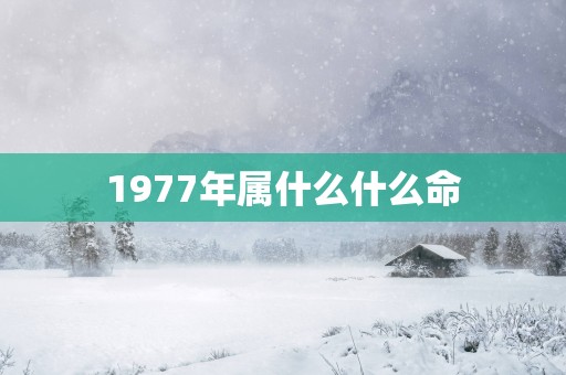 1977年属什么什么命