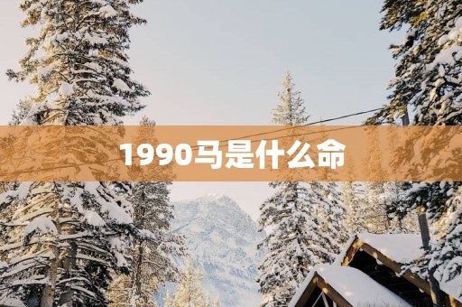 1990马是什么命