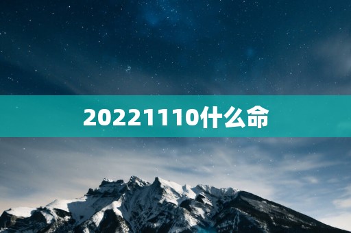 20251110什么命