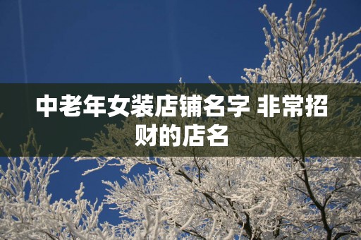 中老年女装店铺名字 非常招财的店名