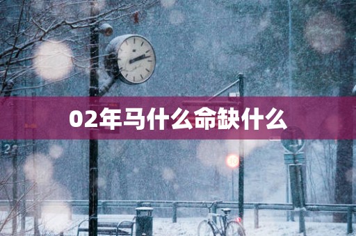 02年马什么命缺什么